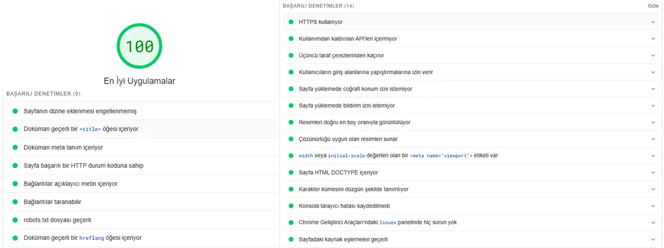 Google PageSpeed Insights en iyi uygulamalar sonucu: 100 puan, 14 başarılı denetim; SEO bölümünde 9 başarılı denetim