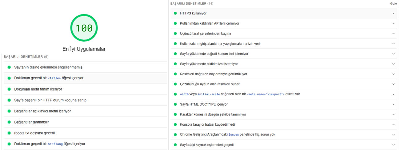 Technical SEO Başarı Analizi