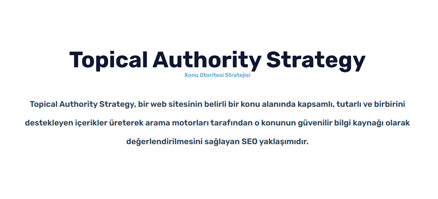 Topical Authority Strategy